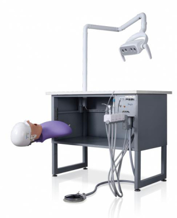 Jingle JG-A5+ — Стоматологический фантом пациента (ручной) 