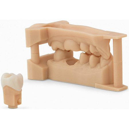 Formlabs Dental Model - фотополимер, картридж, 1л