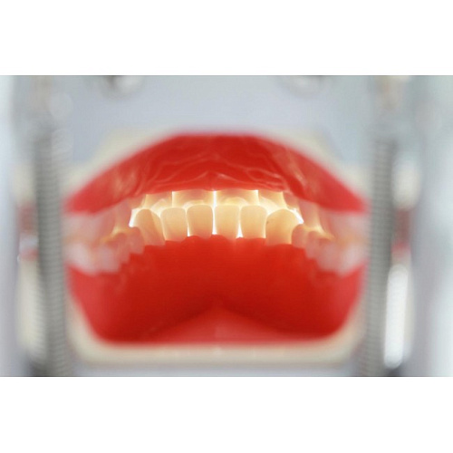 Jingle Phantom jaw - фантомная челюсть 01