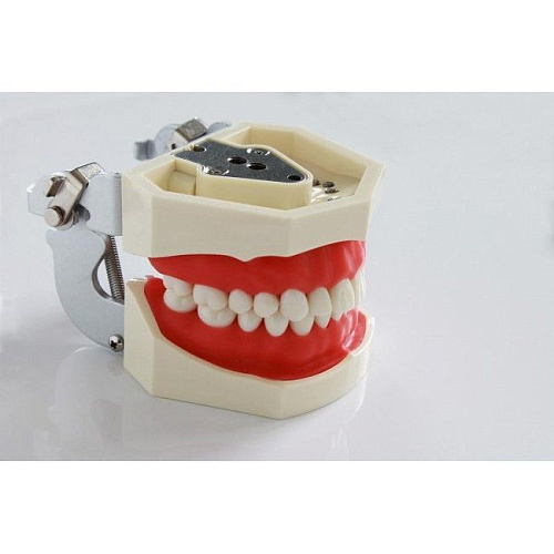 Jingle Phantom jaw - фантомная челюсть 01