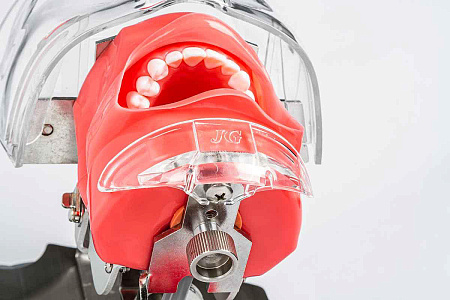 Jingle JG-C6-3 — Стоматологический фантом пациента мобильный